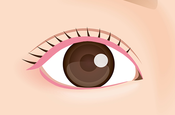 イラスト：アイライン上下