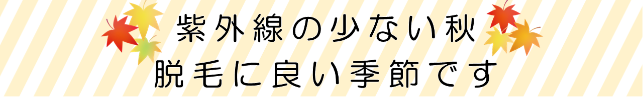 脱毛の秋