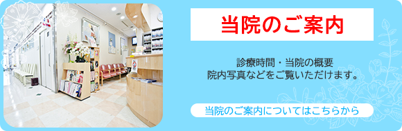 診療時間・当院の概要・院内写真をご覧いただけます。当院のご案内についてはこちらから